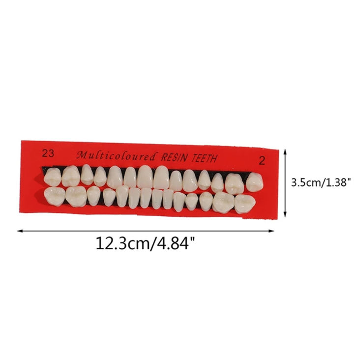 28pcs-set-material-dentures-teaching-dedicated-model-durable-resi-teeth-universal