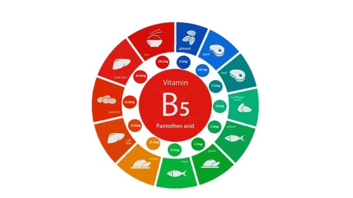 วิตามินบี-5-b5-กรดแพนโทเทนิก-pantothenic-acid-500-mg-100-veg-capsules-now-foods-b-5