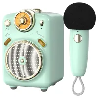 Divoom Fairy-OK Portable Bluetooth Speaker with Microphone Karaoke Function with Voice Change, FM Radio