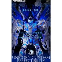 PG 1/60 Unicorn Gundam Perfectibility + Divine Expansion Set