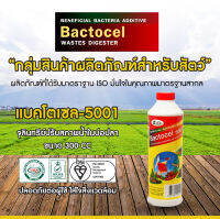 แบคโตเซล BACTOCEL 5001 300cc 1 ขวด รักษาน้ำในบ่อน้ำใส น้ำมีกลิ่นเหม็น จุลินทรีย์รักษาสภาพน้ำในบ่อปลา ป้องกันโรค น้ำขุ่น นำเขียว