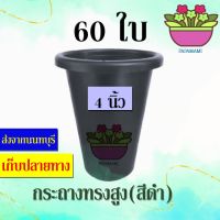 (60ใบ) papamami กระถาง 4 นิ้ว ทรงสูง กระถางแคคตัส กระถางปลูกตอ กระถางกระบองเพชร กระถางพลาสติก กระถางดำ กระถางปลูกต้นไม้ กระถางต้นไม้  กระถางเ