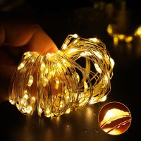 5M-50M LED String Lights Silver Copper Wire 12V Fairy Night Lamp for Chiristmas Garland Bedroom Light Indoor Wedding Decoration