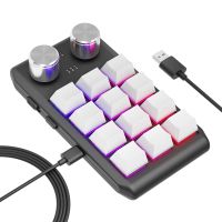 Custom Keyboard Volume Button Knob Programming Macro Gaming Hotswap Keypad, 12 Keys 2 Knob