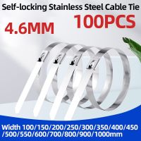 Self-locking 304 Stainless Steel Cable Tie 100pcs 4.6mm 7.9mm 10mm 12mm Width100-1000mm Multi-Purpose Locking Ties