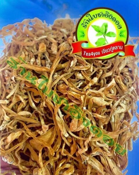 ถั่งเช่า-cordyceps-เห็ดถั่งเช่าสีทอง-ขนาดบรรจุ-20-กรัม-สินค้าวิสาหกิจชุมชน-ได้รับรองสินค้ามาตรฐานเกษตร-จากกรมวิชาการเกษตร