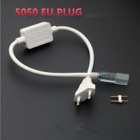 NEW 220V Led Strip Light EU Power Adapter Plug For Flexible 5050 Tape Ribbon 1PCS/LOT Shoes Accessories