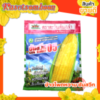 เมล็ดข้าวโพดหวาน พันธุ์ ซันสวีท 05 ตรา ตะวันต้นกล้า 200 กรัม ฝักยาว ใหญ่ เนื้อนุ่ม หวาน อร่อย