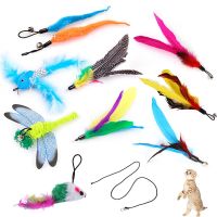 【CW】 5Pcs Feather Teaser Interactive Training the Stick Supplies