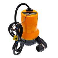 1PCS 12V Submersible Water Pump Bilge Pump Mini Cabin Drainage Pump Household Pumping circulation Electric Pump