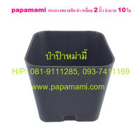 (10ใบ) papamami กระถางพลาสติก กระถางดำ เหลี่ยม 2นิ้ว กระถางปลูกต้นไม้ กระถางต้นไม้ ที่ปลูกต้นไม้ กระถางแค็คตัส กระถางปลูกตอ  สีดำ