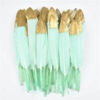 Gold Dipped Mint Feathers for Crafts 10-15CM/4-6 Feather Plumes Handicraft Accessories