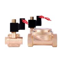 【hot】☎  Saving Pressure Electric Solenoid 16kg Diaphragm Type Valves 12V 24V 220V