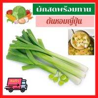 ?ส่งเร็ว ต้นหอมญี่ปุ่น ผักสด พร้อมทาน Japanese Bunching Onions สด ใหม่ สะอาด ปลอดภัย