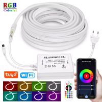 RGB LED Neon Strip Lights 220V 1500W 750W 5050 IP67 1-100M Flexible Tape With EU Plug Tuya Smart Wifi/Bluetooth/Remote Control