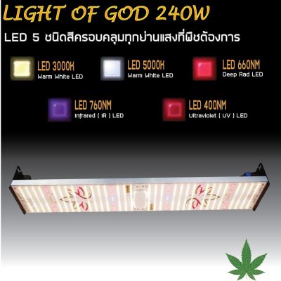 [สินค้าพร้อมจัดส่ง]⭐⭐โคมไฟปลูกต้นไม้ 240W LIGHT OF GOD เสริมด้วย LED IR และ UV สำหรับพืชสมุนไพร  พืชที่ต้องการแสงมาก[สินค้าใหม่]จัดส่งฟรีมีบริการเก็บเงินปลายทาง⭐⭐