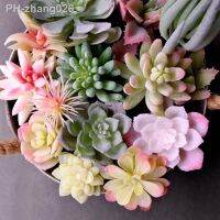 Artificial Succulents Plants White Pink Green Plastic Fake Plants Landscape Bonsai plantas artificiales Home Garden Decoration