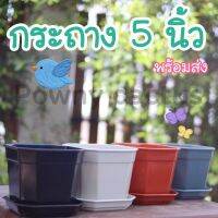 กระถาง 5 นิ้ว พร้อมถาดรอง กระถางแคคตัส กระถางกระบองเพชร กระถางโมเดิร์น