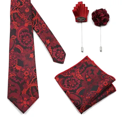 High Quality Classic Paisley Tie Sets For Men Polyester Silk Jacquard Woven Necktie Brooches Set Luxury Tuxedo Suit Accessories