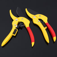 Garden shears pruning shears gardening tools