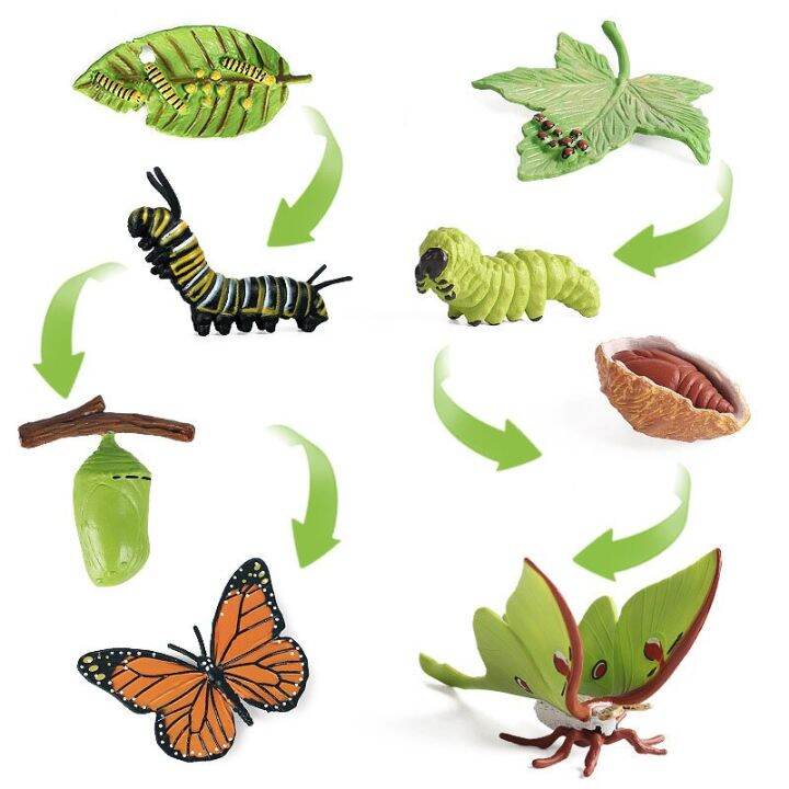 zzooi-latest-lifelike-animals-panda-moth-life-cycle-insect-penguin-frog-figurines-diy-action-figures-early-education-toys-for-children