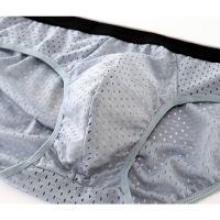 Men Briefs Underwear Mesh Soft Breathable Underpants