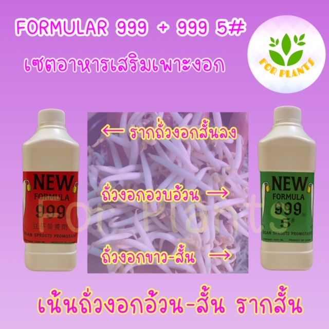 forplants-999-เซตเน้น-ถั่วงอกอ้วนสั้น-รากสั้น-ฮอร์โมน999-ขวด1000cc-พร้อม-ฮอร์โมน999-5-ขวด1000cc-รวม2ชิ้น-ฮอร์โมนเพาะงอก-ฮอร์โมนถั่วงอก-เพาะถั่วงอก