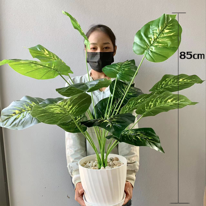 plants-center-พร้อมส่ง-p005-ต้นไม้ปลอม-monstera-มอนสเตอร่าด่าง-ตกแต่งบ้าน-แต่งสวน-ส่งที่ไทยค่ะ-ต้นไทรใบสักเสม-12ใบ-สูง65cm-18ใบ-สูง85cm