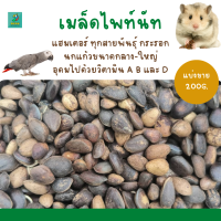 เมล็ดไพท์นัท (แบ่งขาย 200G.) สำหรับแฮมเตอร์ ทุกสายพันธุ์ กระรอก นกแก้วขนาดกลาง-ใหญ่