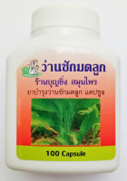 ว่านชักมดลูก Wan chak mod luk / Curcuma comosa 100 แคปซูล อย. G 382/48