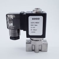 2 way SS304 high temperature steam hot water pilot piston solenoid valve 1/8 1/4" 110V AC Orifice 2.5/3/4mm normal close FKM Valves