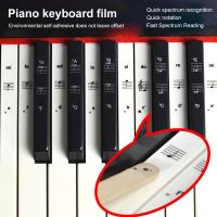 54/61/88 Transparent Piano Keyboard Sticker Keyboard Phonetic Stickers Electronic Keyboard Key Note Sticker Symbol Recognition