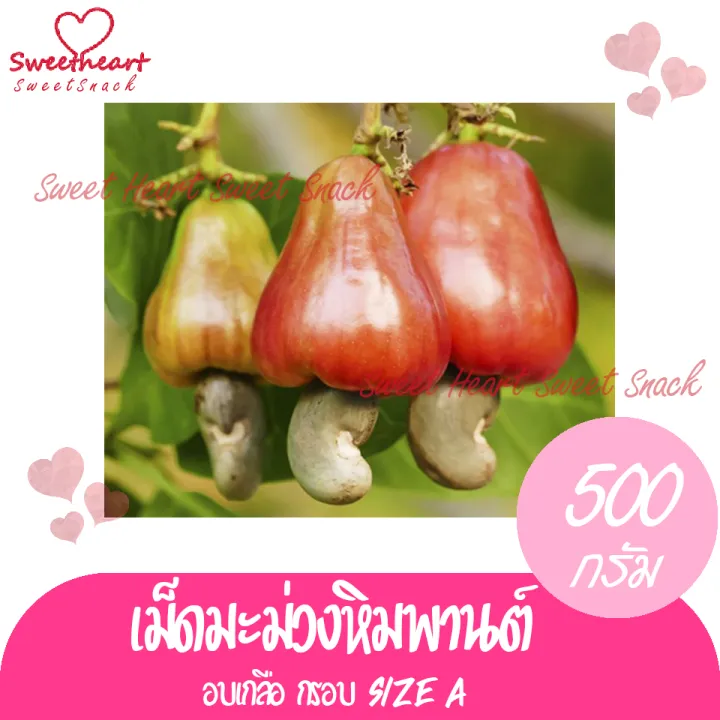 สินค้าใหม่-เม็ดมะม่วงหิมพานต์-เม็ดมะม่วง-เผาธรรมชาติ-ไม่มีเปลือก-500g-เม็ดมะม่วงหิม-nbsp-ถั่ว-ธัญพืช-nbsp-ถั่วธัญพืช-มีประโยชน์