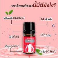 Reed รีด เจล ?ไม่ระบุชื่อสินค้าหน้ากล่อง ของแท้ ส่งฟรี ? ยานวด ใช้ทา สำหรับผู้หญิง เพิ่มอารมณ์ (1 ขวด 10 ml.)