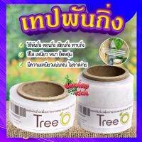 เทปพันกิ่งตอน ? ฟิล์มพันกิ่ง ใช้พันกิ่ง ตอนกิ่ง ทาบกิ่ง สีใส เหนียว หนา ยืดหยุ่น ไม่ขาดง่าย ทนต่อการใช้งาน???