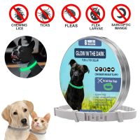 ZZOOI Pet Dog Mosquito Repellent Collar Glowing Retractable Pet Collar For Dogs Cats Anti Flea Tick Mosquito 8 Months Dog Accessories