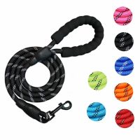 【jw】✲□ Dog Reflective Rope Adjustable Harness French Bulldog Training Dogs Chain Safety Leashes