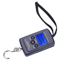 2X Portable Plastic Electric Digital Hanging Scale with Hook Tool Fishing Luggage Different Units Conversions