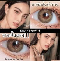 ? สุดปัง มีค่าสายตา ? Wink Dna Gray Brown บิ๊กอาย สุดปัง คอนแทคเลนส์ รายเดือน มีอย แถมตลับฟรี เลนส์นิ่ม สวยปังมาก