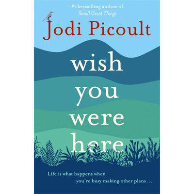 Wish You Were Here (Pocket Size) - Jodi Picoult - 9781473692541 Moonbird |  Lazada.Vn