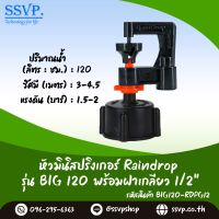 มินิสปริงเกอร์ รุ่น BIG พร้อมฝาครอบเกลียวใน ขนาด 1/2"  ปริมาณน้ำ 120 ลิตร/ชั่วโมง รัศมีการกระจายน้ำ 3-4.5 เมตร รหัสสินค้า BIG-120-RDPG12