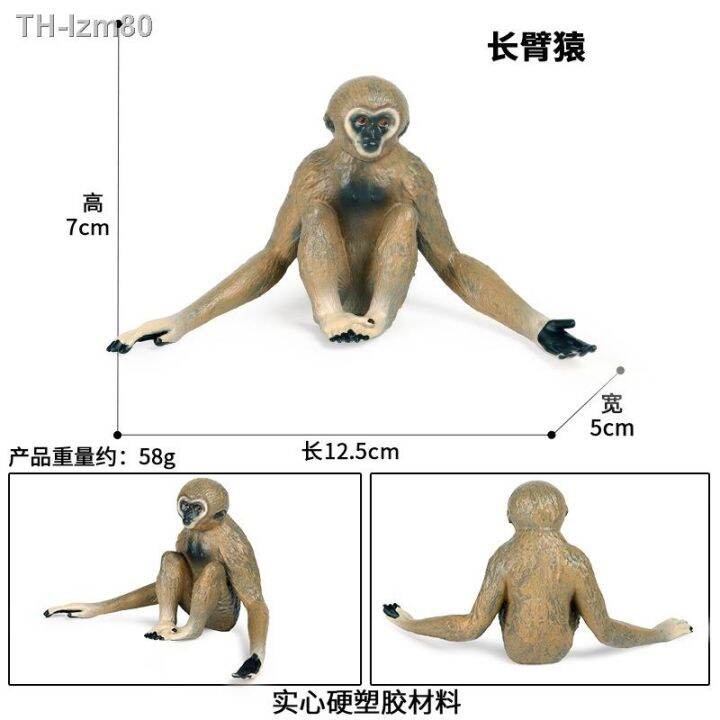 ของขวัญ-childrens-cognitive-solid-simulation-model-of-wildlife-static-gibbon-ape-monkey-plastic-toy-furnishing-articles