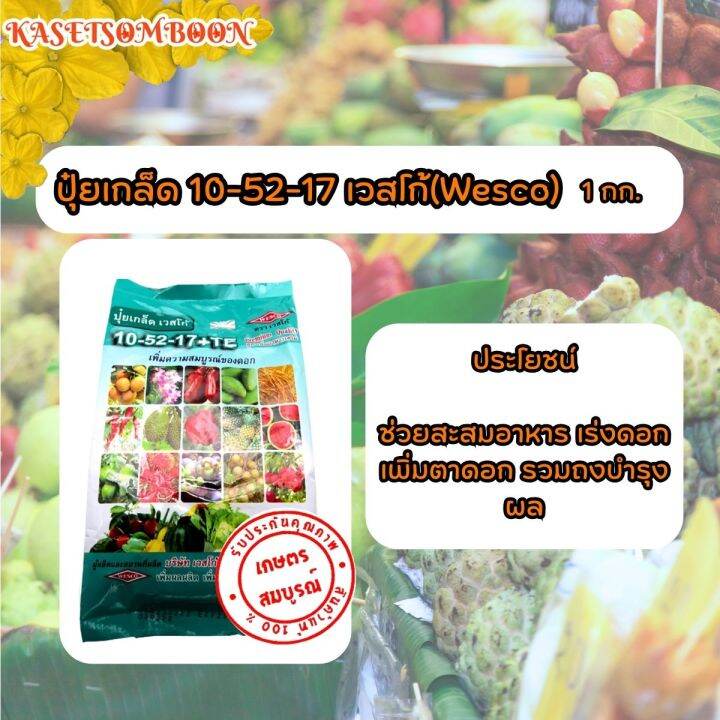 ปุ๋ยเกล็ด-เวสโก้-wesco-10-52-17-te-1-กก-สูตรเสมอ-เร่งดอก-แตกตา-เปิดตาดอก-หยุดใบอ่อน-ลดและป้องกันดอกและผลร่วง-ปุ๋ยเกร็ดธาตุอาหารเสริม