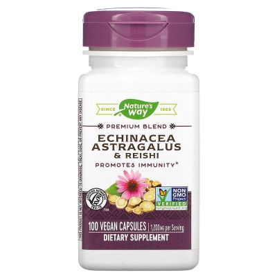 อึ่งคี้ ปักคี้ หวงฉี  Natures Way, Echinacea Astragalus &amp; Reishi, 1,200 mg, 100 Vegan Capsules, อเมริกา
