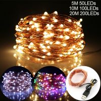 5M 10M 20M LED String Light Copper Wire Fairy Warm White Multicolor Garland Home Christmas Party Outdoor Decor Powered By USB