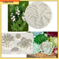 CIRETEX 2PCS ซิลิโคนทำจากซิลิโคน แม่พิมพ์ฟองดองท์ สีเทาและสีเทา แม่พิมพ์ซิลิโคนฉ่ำ แม่พิมพ์สำหรับงานหัตถกรรมดินเหนียว แม่พิมพ์ฉ่ำน้ำ ของตกแต่งเค้ก