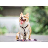 GENTLEPUP Maxi Harness สายรัดอกสุนัข สายรัดอกน้องหมา สำหรับสุนัขขนาดเล็กถึง ขนาดใหญ่