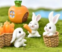 โมเดลแต่งเค้ก แต่งสวนถาด กระต่าย-แครรอท
