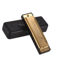 Key Of C Diatonic Harmonica Mouthorgan With ABS Reeds การออกแบบพื้นผิวกระจก10หลุม Harmonika Blues เหมาะสำหรับผู้เริ่มต้นนักเรียนมืออาชีพเด็กทอง