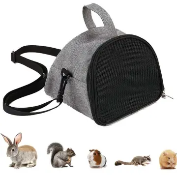 Best guinea pig outlet carrier